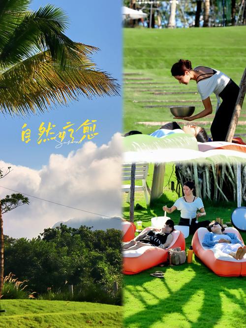 探索与你共度的夏日游戏官网：绅士游戏的独特魅力与潜力分析