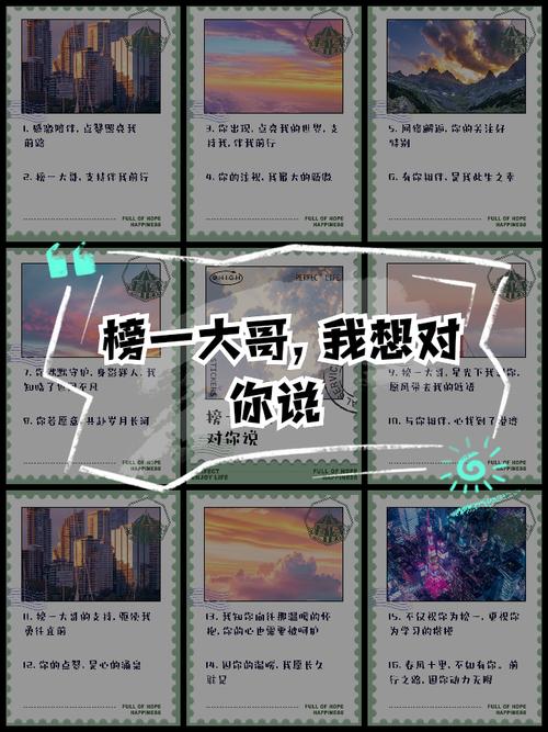 榜一大哥专享版本大全实用教程