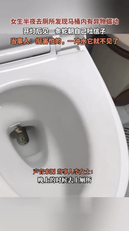 厕所里奇怪的声音：绅士游戏中的解决方案和实用技巧