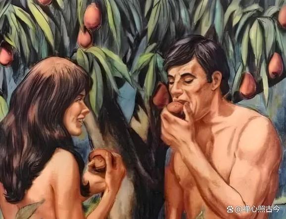 深入分析《伊甸园伊甸碎片》安卓汉化的市场潜力与用户体验