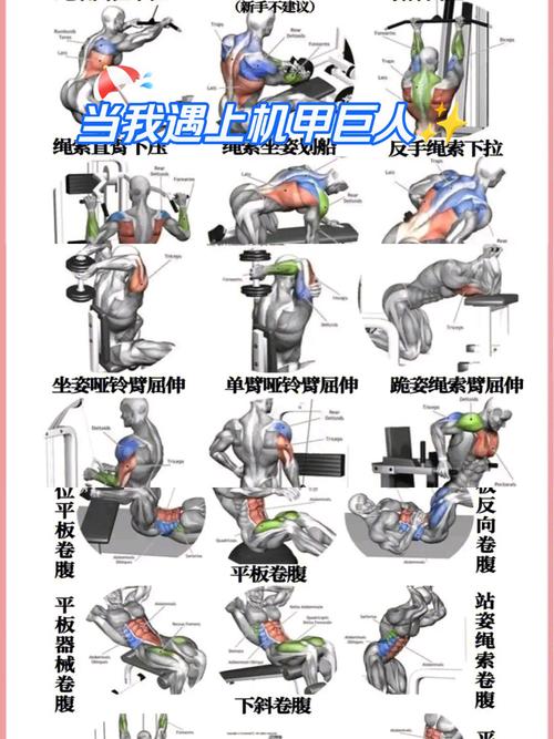 如何在禁欲健身中心体验杨过游戏的魅力：新手实用教程
