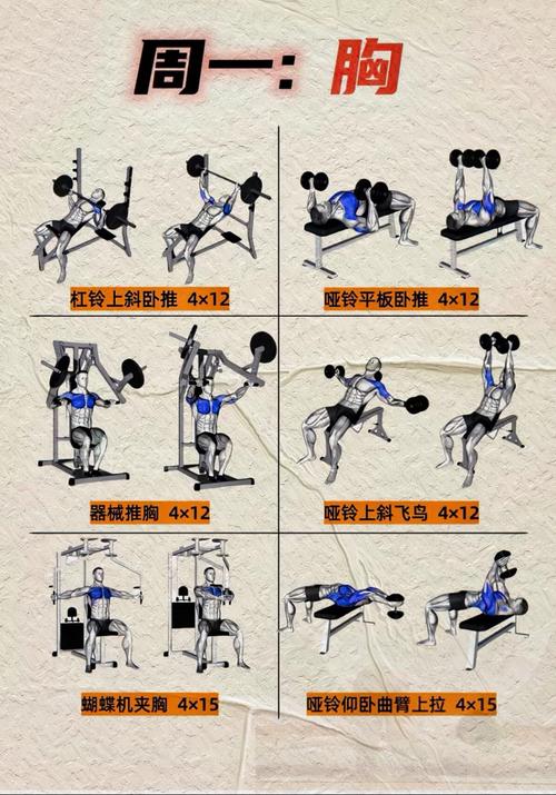 如何在禁欲健身中心体验杨过游戏的魅力：新手实用教程